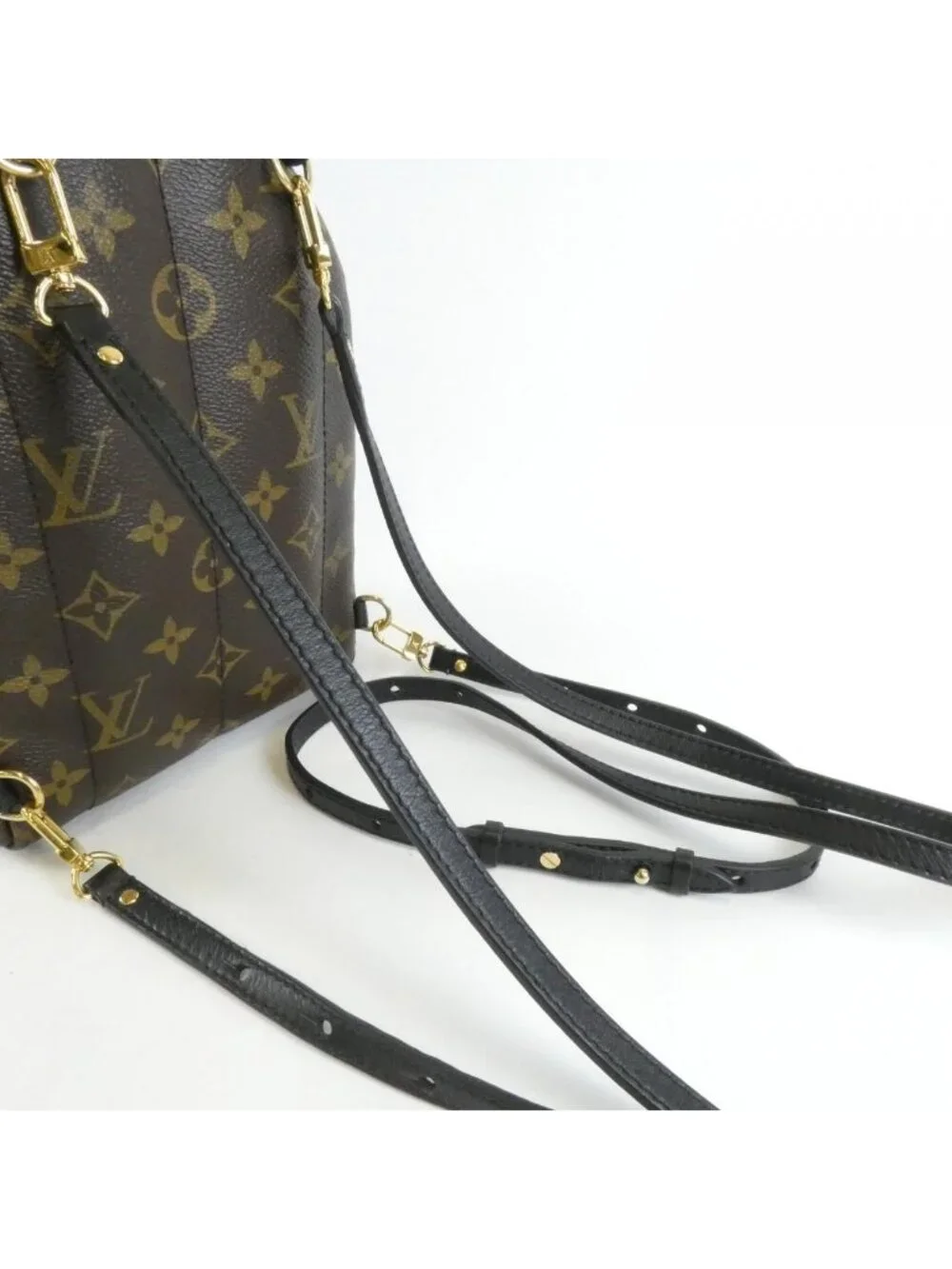 Louis Vuitton Monogram Palm Springs Backpack Mini